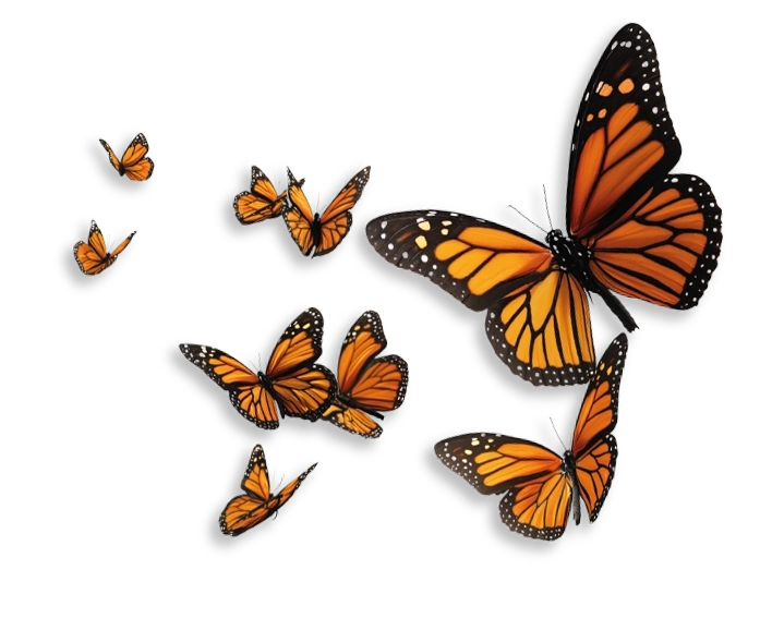 Educación a distancia