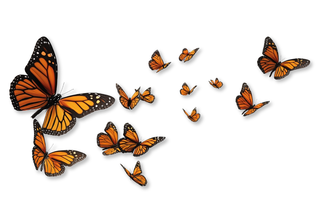 Educación a distancia